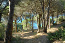 View of the Parque de la Breña